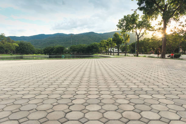 Best Local Driveway Pavers  in Liberty Triangle, FL